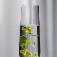 开化龙顶茶能放多久