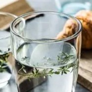白牡丹茶属于什么茶类