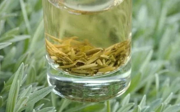 薄荷茶的功效与主治.jpg 薄荷茶的功效与主治.jpg