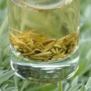 薄荷茶的功效与主治