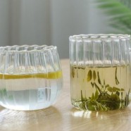 菊花茶降血压吗