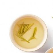 越红工夫茶生长环境