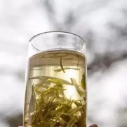 霍山黄芽产地在哪里