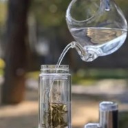 白兰花茶的功效与禁忌