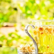 茉莉花茶多少度水泡合适