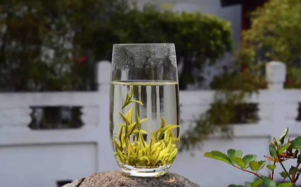 蒲公英茶有没有减肥的作用.jpg
