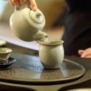 宁波白茶属于什么茶