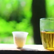 莫干黄芽一般什么价位