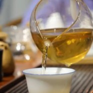 杭白菊是哪里产的
