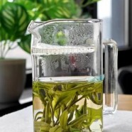 海马宫茶是黄小茶吗