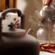 栀子茶降尿酸吗
