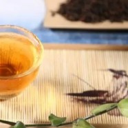 保靖黄金茶什么时候采摘