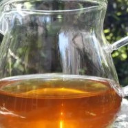 广东大叶青是黄茶吗
