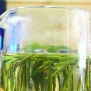 薄荷茶可以天天喝吗