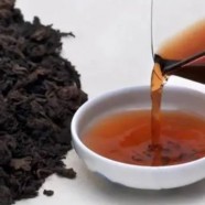 霍山黄芽算是高档茶吗