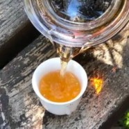 汉山红和汉中红的区别