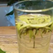 政和工夫红茶的特点是什么