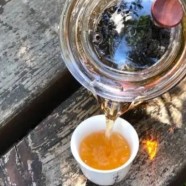如何辨别日照红梅茶品质的好坏
