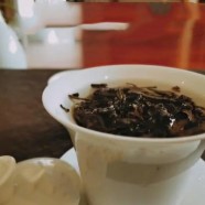松溪小白茶的特点