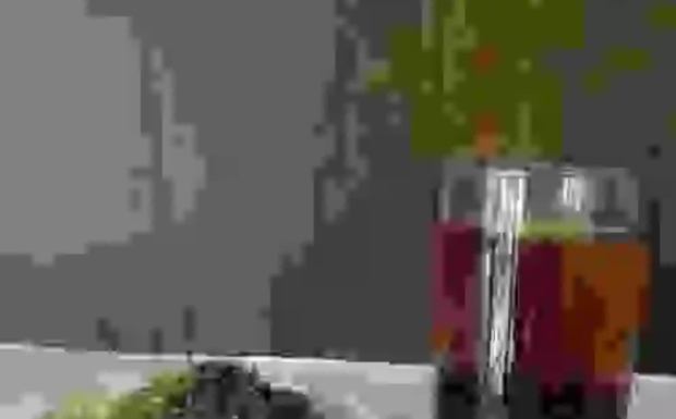 九曲红梅性凉还是性热.jpg