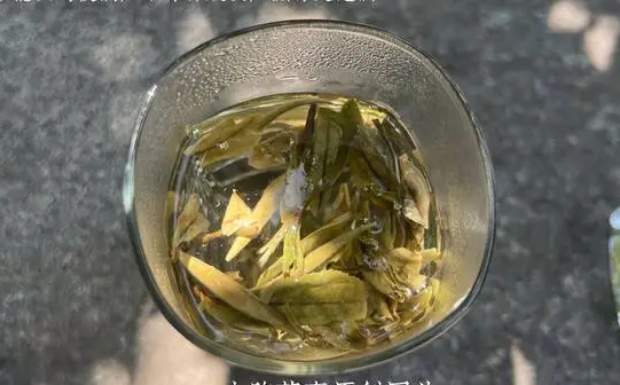 远安黄茶的价格多少.jpg