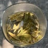远安黄茶的价格多少