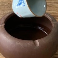 七子饼茶是熟普还是生普