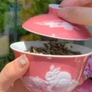 宁波白茶产地哪里最好