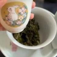 平阳黄汤多少钱一斤
