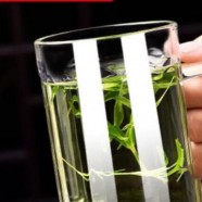 红碎茶品种有哪些