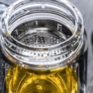 霍山黄大茶属于什么茶类