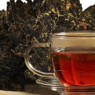 金银花茶能降血糖吗