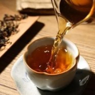 北港毛尖属于黄芽茶吗