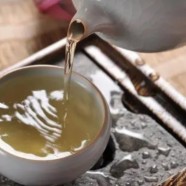 仙人掌茶可以喝吗