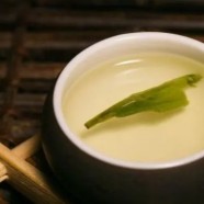 西山茶叶多少钱一斤