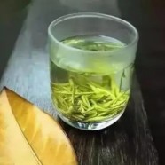 贡菊性寒还是性温