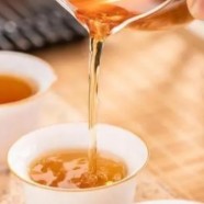 午子仙毫产地是哪儿
