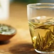 蒲公英茶可以天天喝吗