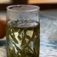 老班章是生茶还是熟茶