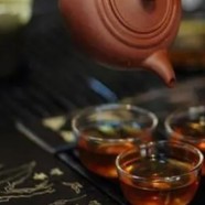 喝金莲花茶的注意事项