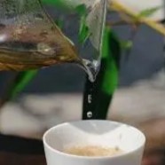 云南红茶多少钱一盒