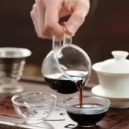 宁波白茶是什么茶