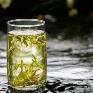 老白茶的等级划分