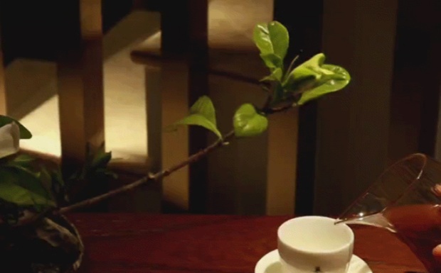 日月潭红茶的口感有什么特点.jpg 日月潭红茶的口感有什么特点.jpg