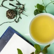玉米须茶的功效与主治