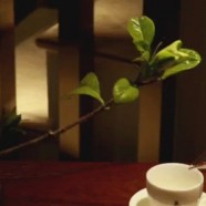 日月潭红茶的口感有什么特点