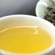 双井属于高档茶