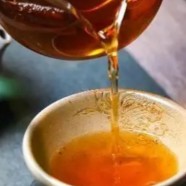 鹿苑毛尖属于什么茶