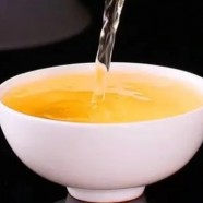 苦丁茶真有这么好吗