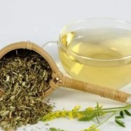 平水珠茶简介